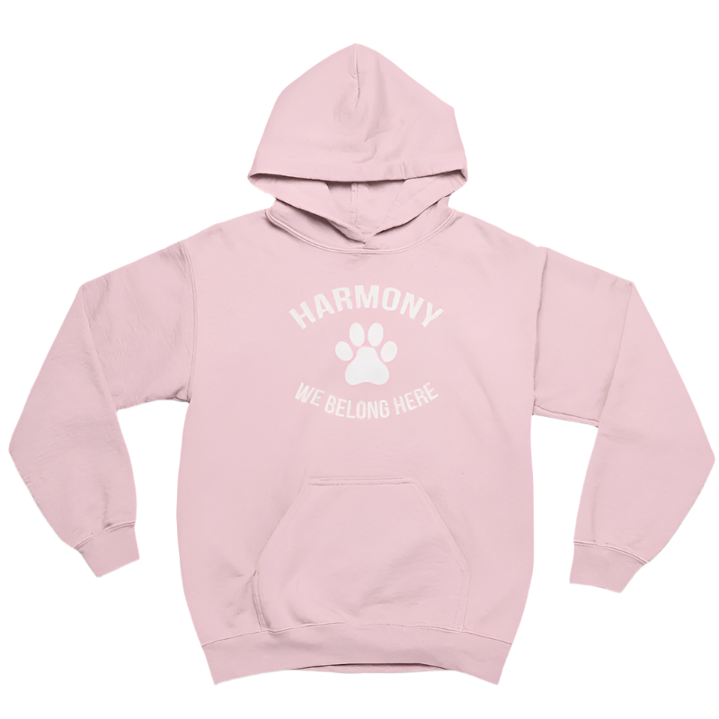 Harmony P.S. • ADULT UNISEX HOODIE • PINK DAY • We Belong Here • Light or Azalea Pink