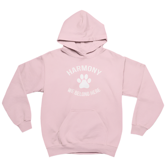 Harmony P.S. • YOUTH HOODIE • We Belong Here • Light Pink
