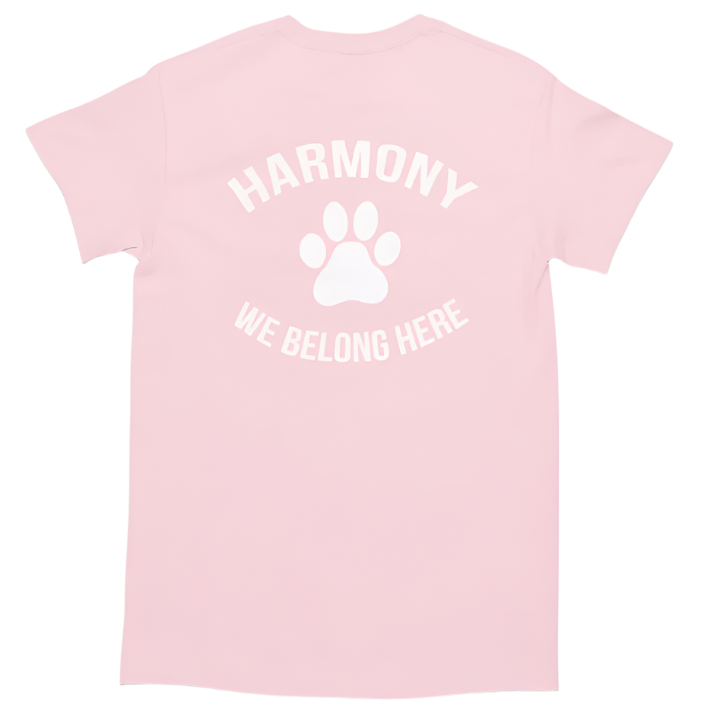 Harmony P.S.  • YOUTH T-SHIRT • PINK DAY • We Belong Here  • Light or Azalea Pink